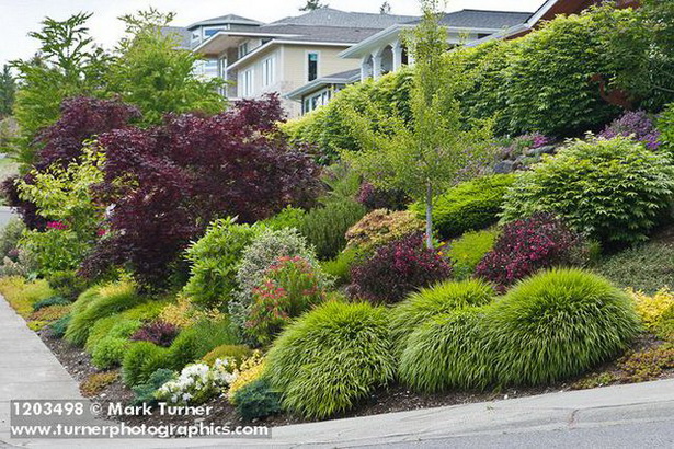 shrubs-for-front-garden-75_11 Храсти за предната градина