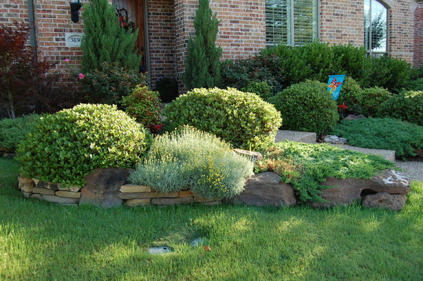 shrubs-for-front-yard-landscaping-30_6 Храсти за озеленяване на предния двор