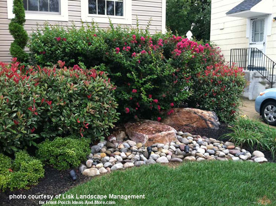 shrubs-for-front-yard-landscaping-30_9 Храсти за озеленяване на предния двор