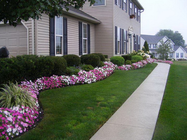 shrubs-for-landscaping-front-yard-54_18 Храсти за озеленяване на предния двор