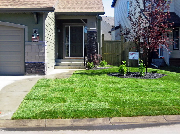 simple-front-of-house-landscaping-ideas-93_9 Прост фронт на идеи за озеленяване на къща
