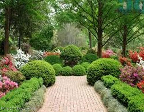 simple-garden-designs-70_7 Прости градински дизайни