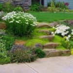 simple-landscaping-ideas-for-small-yards-19_14 Прости идеи за озеленяване за малки дворове