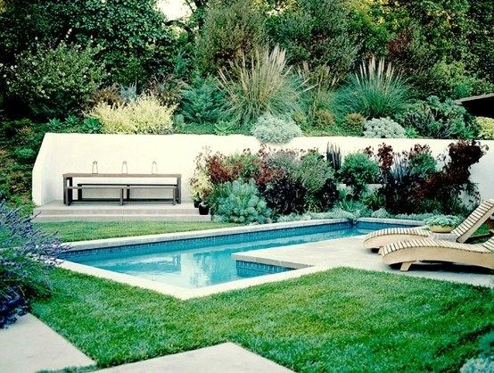 simple-pool-landscaping-13_16 Прост басейн озеленяване
