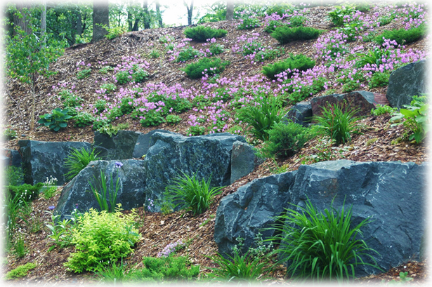 sloped-rock-garden-32 Наклонена алпинеум