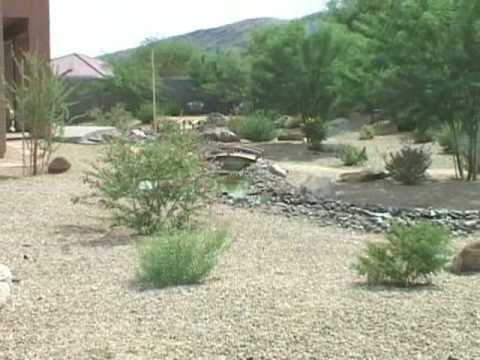 small-backyard-desert-landscaping-ideas-45_10 Малък заден двор пустинни идеи за озеленяване