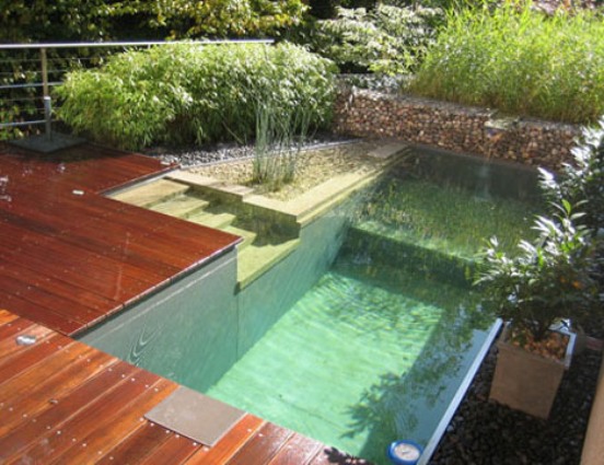 small-backyard-designs-with-pool-38_15 Малки дизайни на задния двор с басейн