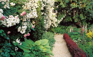 small-backyard-garden-ideas-77_10 Идеи за малка градина в задния двор