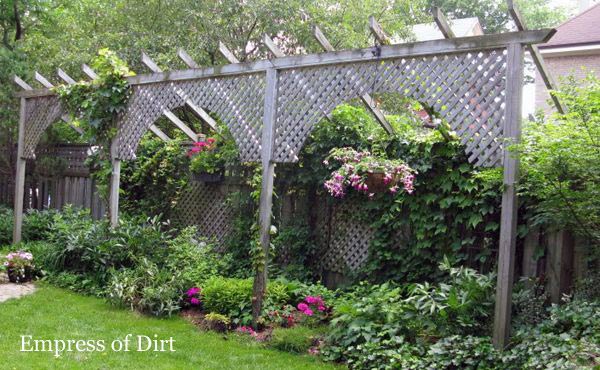 small-backyard-landscaping-ideas-for-privacy-24_10 Малък заден двор озеленяване идеи за поверителност