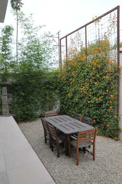 small-backyard-landscaping-ideas-for-privacy-24_17 Малък заден двор озеленяване идеи за поверителност