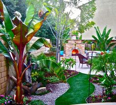 Малък заден двор тропически идеи за озеленяване