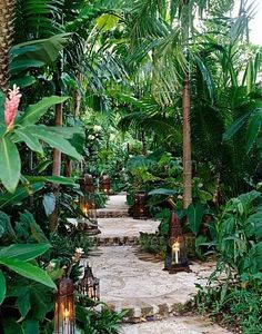small-backyard-tropical-landscaping-ideas-76_9 Малък заден двор тропически идеи за озеленяване