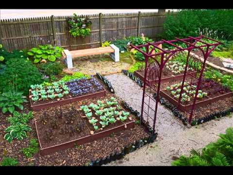 Малък двор зеленчукова градина идеи