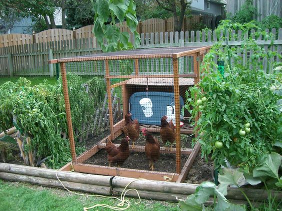 small-backyard-vegetable-garden-ideas-61_15 Малък двор зеленчукова градина идеи