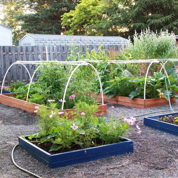 small-backyard-vegetable-garden-ideas-61_16 Малък двор зеленчукова градина идеи