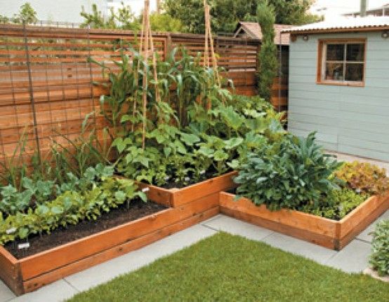 small-backyard-vegetable-garden-ideas-61_18 Малък двор зеленчукова градина идеи