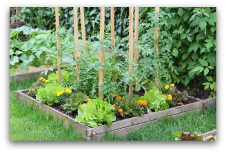 small-backyard-vegetable-garden-ideas-61_9 Малък двор зеленчукова градина идеи