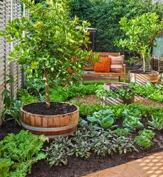 small-corner-garden-design-ideas-12_16 Малки ъглови идеи за градински дизайн