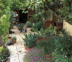 small-courtyard-garden-design-ideas-28_10 Малък двор градински дизайн идеи