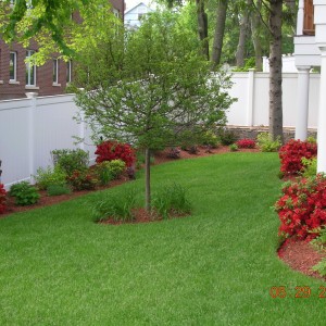small-fenced-in-backyard-landscaping-ideas-50_9 Малки оградени в задния двор идеи за озеленяване