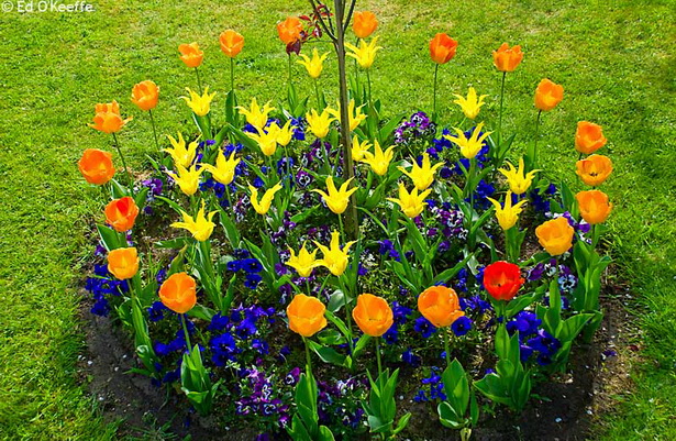 small-flower-bed-designs-51_14 Малки цветни лехи