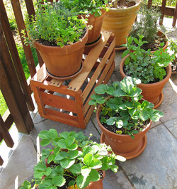 small-garden-containers-10_6 Малки градински контейнери