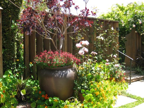 small-garden-edging-ideas-15_10 Малки градински идеи за Кант