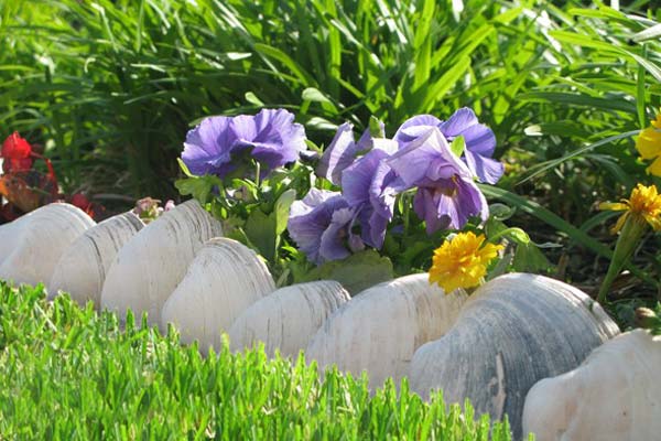 small-garden-edging-ideas-15_20 Малки градински идеи за Кант