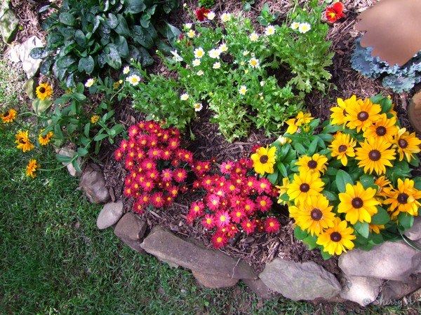 small-garden-flower-beds-67_16 Малки градински цветни лехи