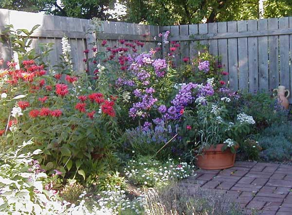 small-garden-flower-beds-67_20 Малки градински цветни лехи