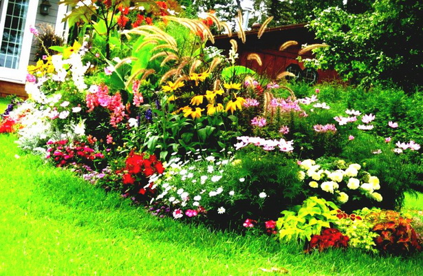 small-garden-planting-ideas-66 Малки градински идеи за засаждане