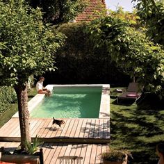 small-garden-pool-ideas-39_11 Идеи за малък градински басейн
