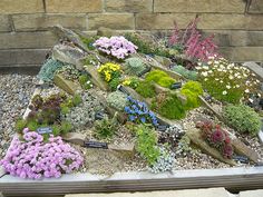 small-garden-rockery-designs-92_6 Малка градинска алпинеум дизайн