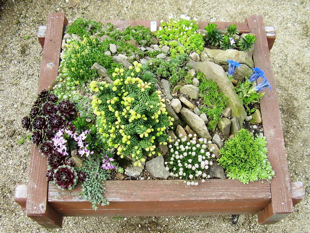 small-garden-rockery-62_4 Малка градинска алпинеум