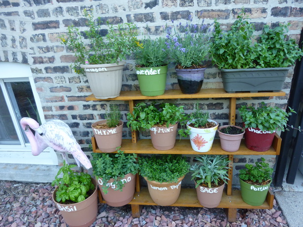 small-herb-garden-ideas-96_12 Малки билки градински идеи