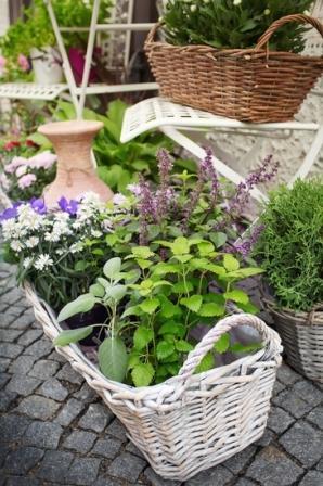 small-herb-garden-ideas-96_2 Малки билки градински идеи