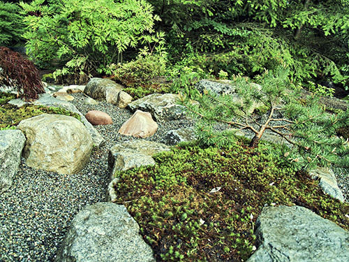 small-japanese-rock-garden-17_15 Малка японска алпинеум