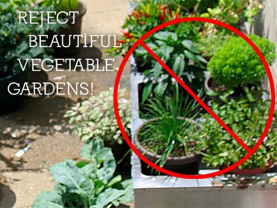 small-patio-vegetable-garden-29_12 Малък вътрешен двор зеленчукова градина