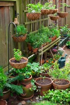 small-patio-vegetable-garden-29_14 Малък вътрешен двор зеленчукова градина