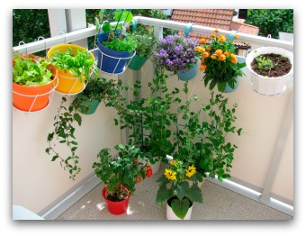 small-patio-vegetable-garden-29_6 Малък вътрешен двор зеленчукова градина