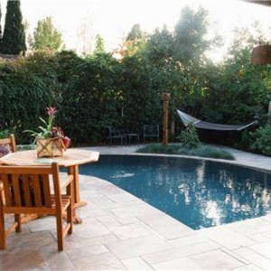 small-pool-landscaping-65_18 Озеленяване на малък басейн