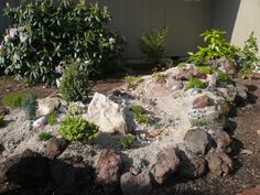 small-rock-garden-pictures-52_13 Малка алпинеум снимки