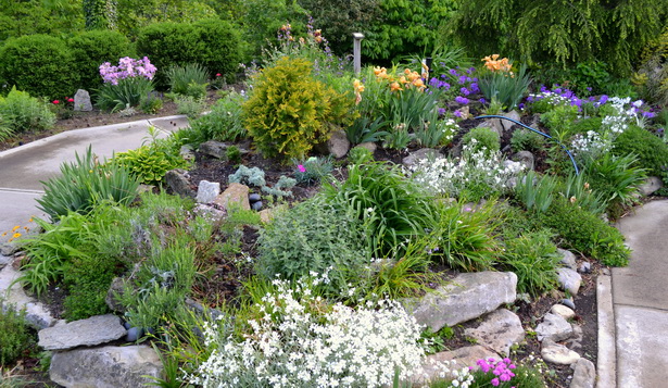 small-rock-garden-plants-53_13 Малки алпинеуми
