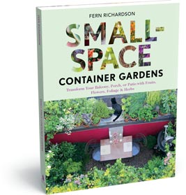 small-space-container-gardens-09_14 Малки пространства контейнер градини