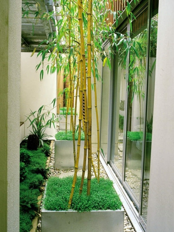 small-space-garden-design-ideas-44_10 Малки идеи за дизайн на градината