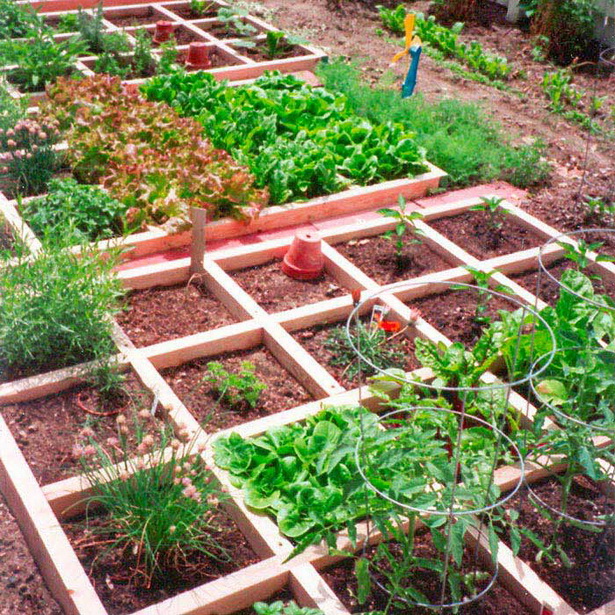 small-space-vegetable-garden-30_14 Малка космическа зеленчукова градина