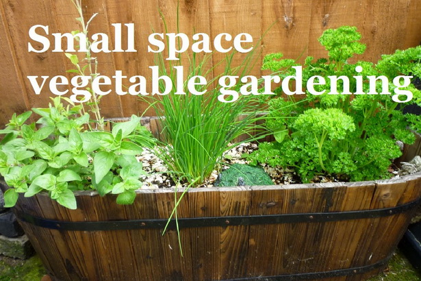 small-space-vegetable-garden-30_2 Малка космическа зеленчукова градина
