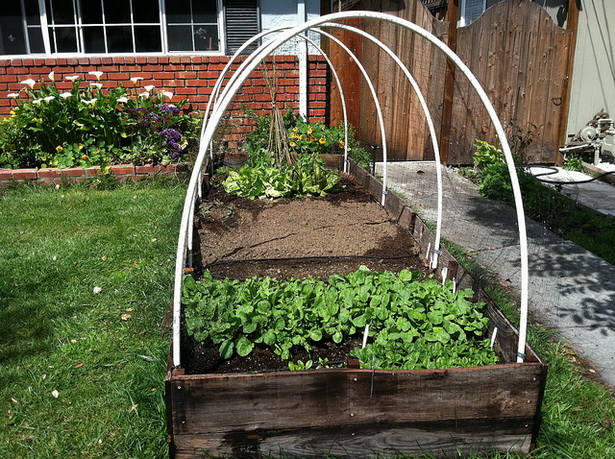 small-space-vegetable-garden-30_4 Малка космическа зеленчукова градина