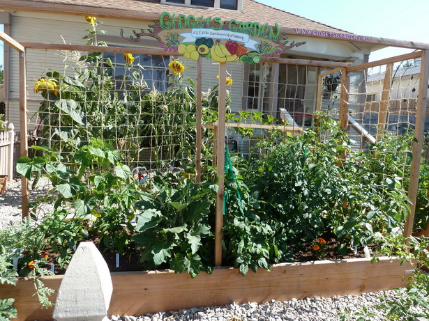 small-space-vegetable-garden-30_5 Малка космическа зеленчукова градина