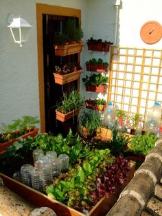 small-space-vegetable-garden-30_6 Малка космическа зеленчукова градина